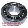 Triumph   EE428262D/428420/428421XD   BSA bearing genuine RHP 37-2298 65-5883 37-1041 LJ7/8 41-6016 89-5757 Bearing Online Shoping #1 small image